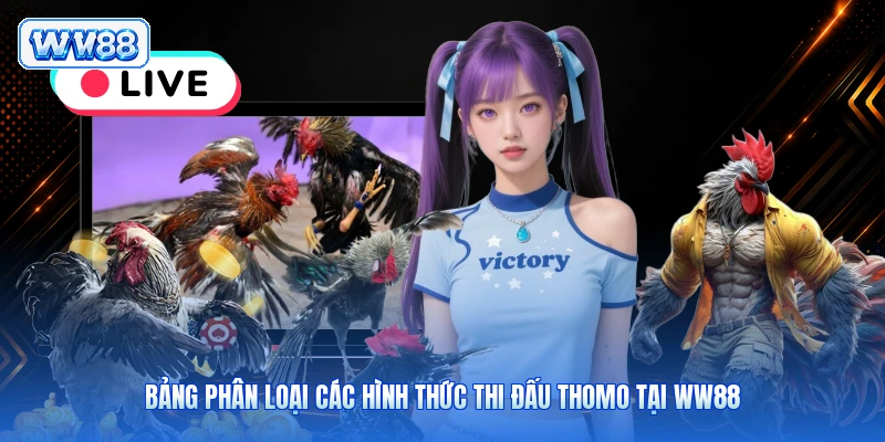 Bảng phân loại các hình thức thi đấu Thomo tại WW88