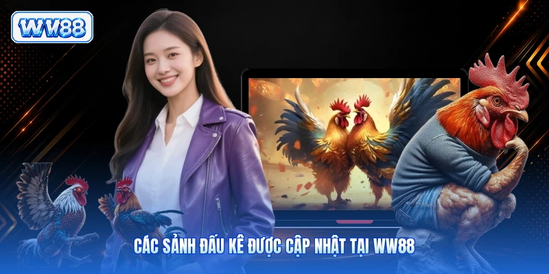 Các sảnh đấu kê được cập nhật tại WW88