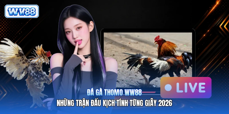 Đá Gà Thomo WW88 – Những Trận Đấu Kịch Tính Từng Giây 2026