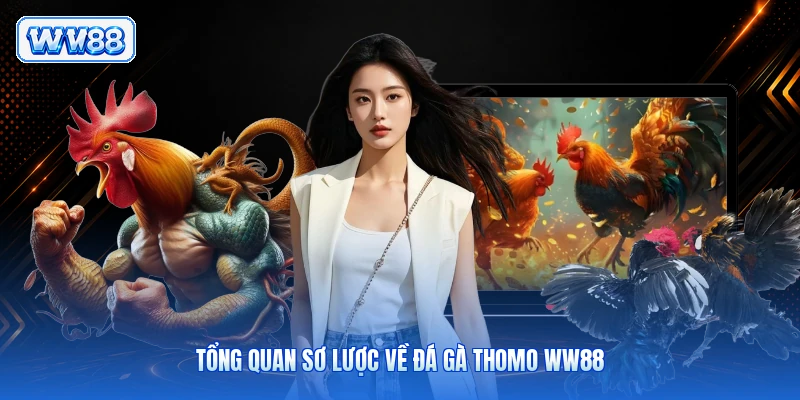 Tổng quan sơ lược về đá gà Thomo WW88
