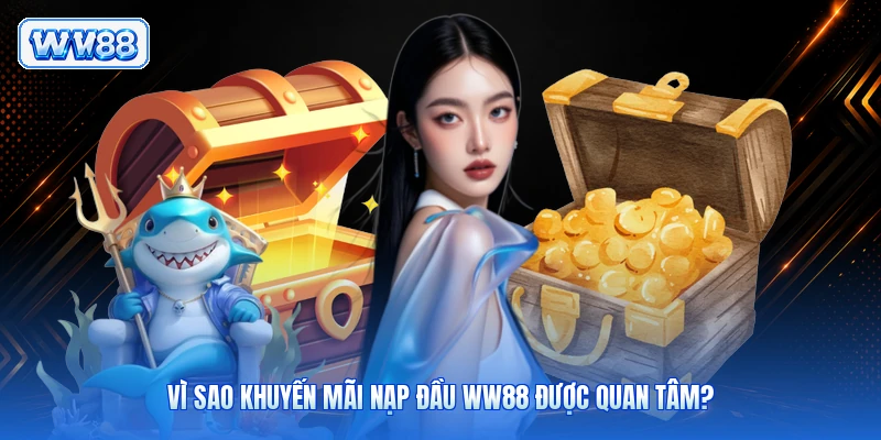 Vì sao khuyến mãi nạp đầu WW88 được quan tâm?